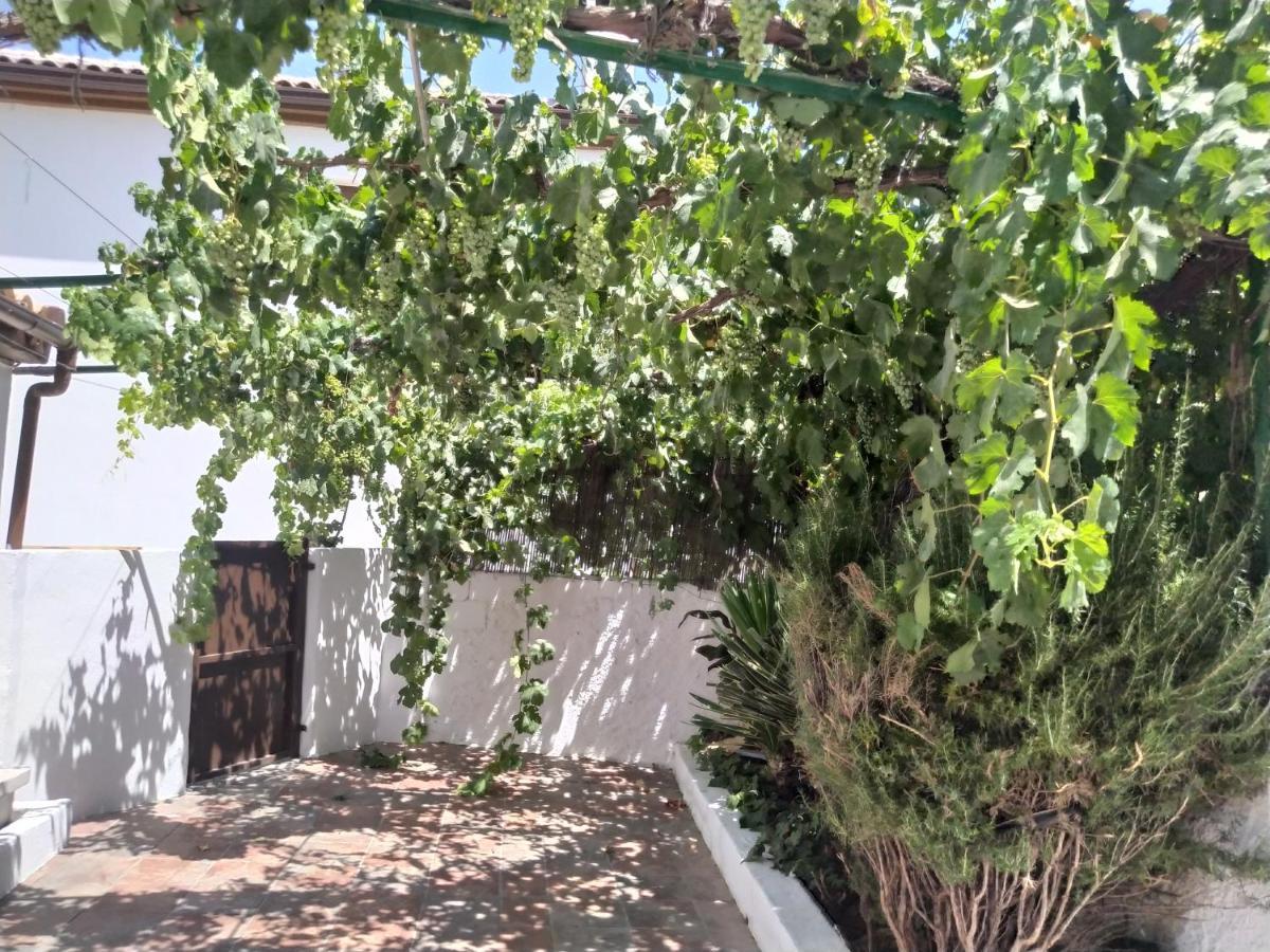 La Casa Del Ingles Villa Montefrío Eksteriør bilde
